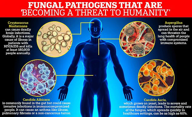 WHO Warns of Escalating Global Health Crisis as One in Six Bacterial Infections Resistant to Antibiotics