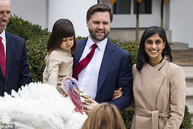 Secret Service Arrests Man After Vandalism at Vice President JD Vance's Home