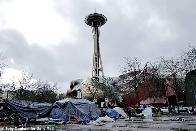 Seattle Mayor Katie Wilson's Alleged Policy on Drug-Related Arrests Sparks City-Wide Debate