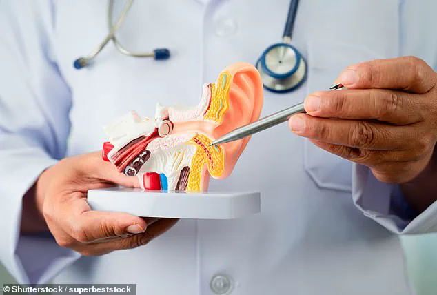 Could Diet Be a Hidden Contributor to Tinnitus? New Study Sparks Debate