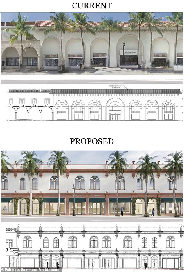 Palm Beach Socialites Oppose Development Plans, Bettina Anderson Leads Fight Against Historic Building Conversions