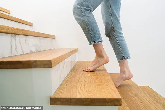 Breaking the Gym Myth: Walking and Consistency for Real Health Gains