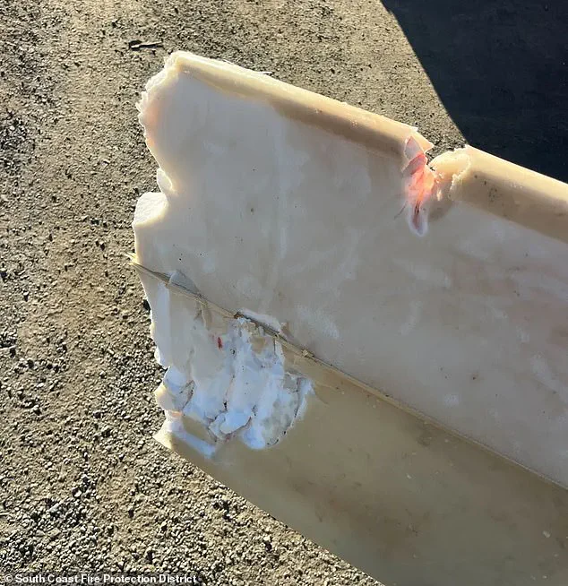 Surfer Survives Terrifying Shark Encounter Off California Coast