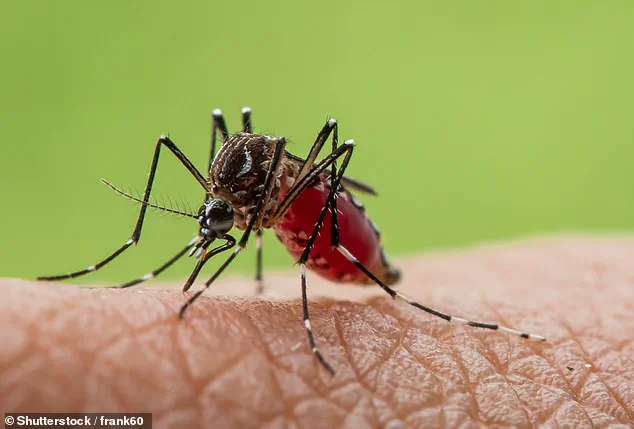 Climate Change and Globalization: Catalysts for Emerging Viral Threats
