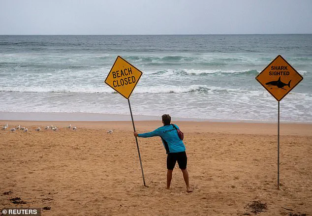 Urgent Lockdown Imposed on Sydney's Northern Beaches After Surge in Shark Attacks; Surfer in Critical Condition Following Latest Incident