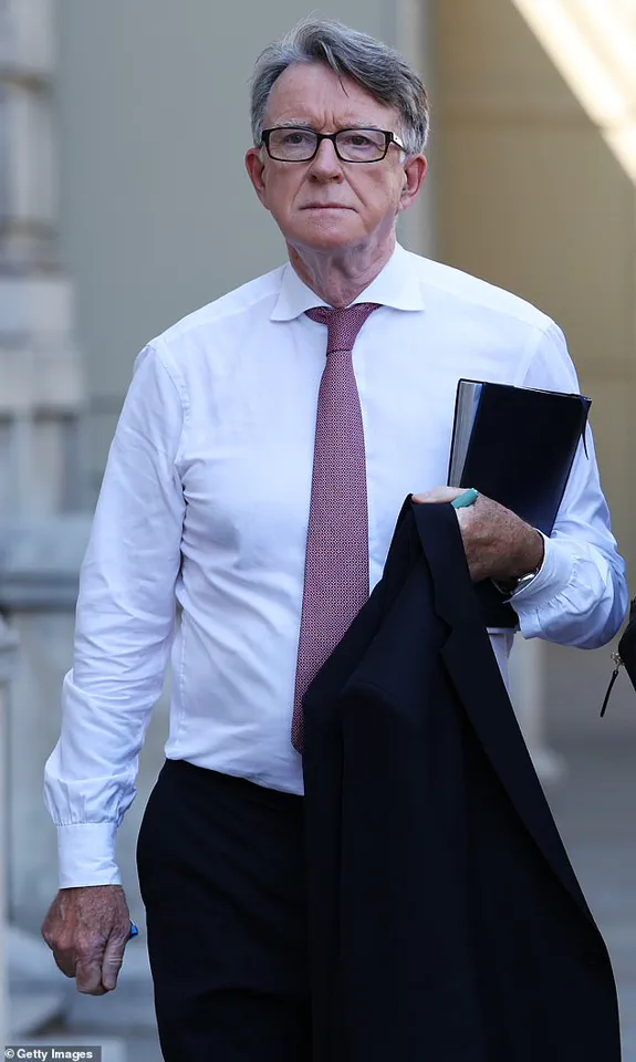 Alleged Photograph of Peter Mandelson in Epstein’s Mansion Raises Questions About His Involvement