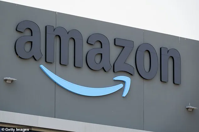 Amazon Delivery Driver's Snowy Meltdown Goes Viral, Exposing Gig Economy Struggles