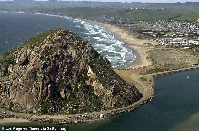 Morro Bay Surfer's Trauma and Legal Battle After Paddleboarder Clash