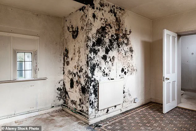 Childhood Mould Exposure Linked to Lasting Lung Damage, Warns University of Bristol Study