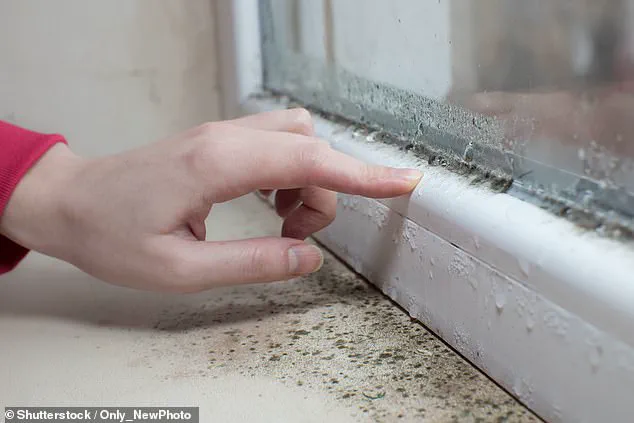 Childhood Mould Exposure Linked to Lasting Lung Damage, Warns University of Bristol Study