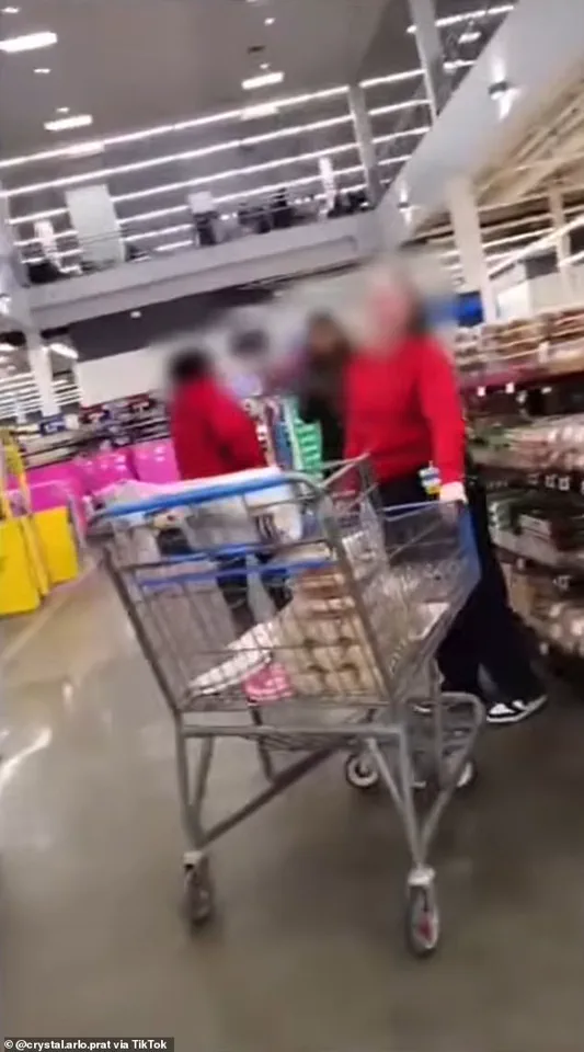 Walmart shopper alleges employees stalked her over service dog, citing ADA rights