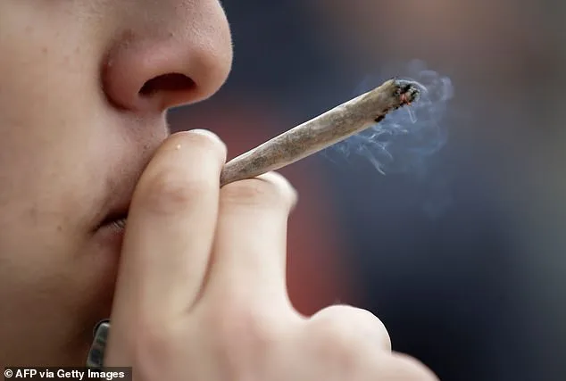 Moderate Cannabis Use Linked to Lower Dementia Risk, Study Reveals