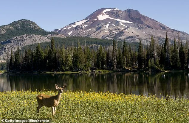 Oregon at a Crossroads: Grassroots Movement Pushes to Ban Hunting and Fishing with Ballot Initiative