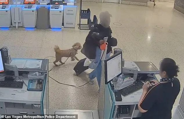 26-Year-Old Woman Arrested at Las Vegas Airport for Abandoning Puppy During Service Animal Dispute
