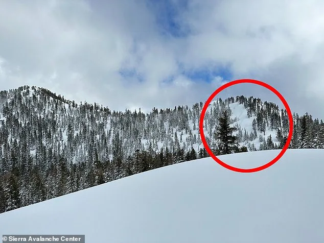 Tragic Avalanche Claims Eight Mothers in Lake Tahoe: Deadliest Backcountry Disaster in California History