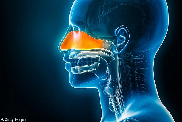 Grandmother's 15-Year Battle with Anosmia: A Journey Through Chronic Rhinosinusitis and Daily Struggles