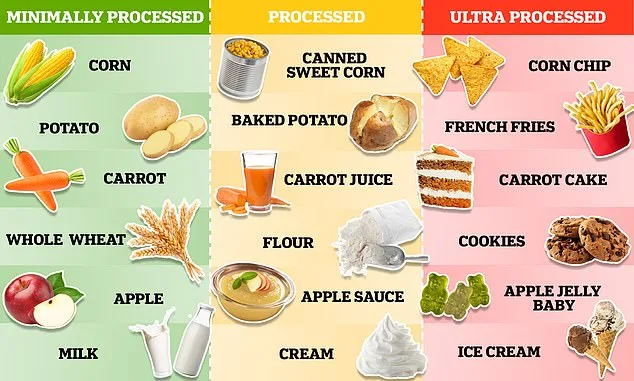 The Carbohydrate Myth: Whole Foods vs. Processed Sweets