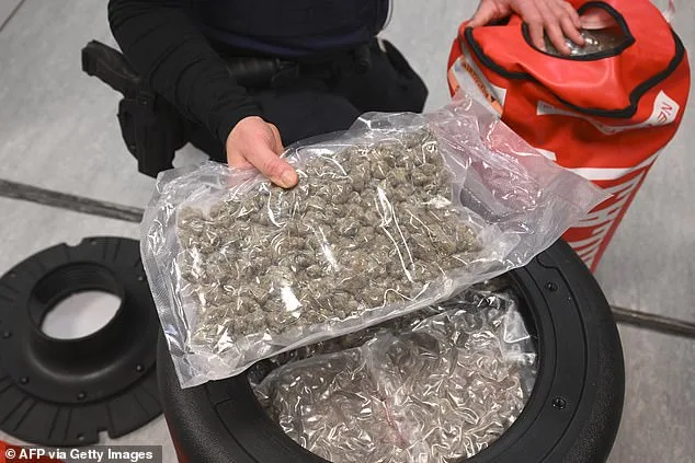 Belgian Judge Warns of 'Narco State' Crisis as Cocaine Trafficking Through Antwerp and Rotterdam Port Hubs Threatens Social Stability