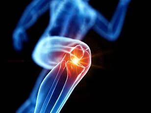 Low-Cost Prebiotic Fibre Shows Promise as Alternative to Pharmaceuticals for Osteoarthritis Pain