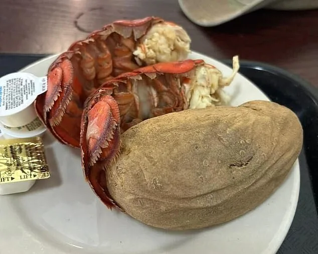Furious U.S. Troops Rebut CNN's $20M Luxury Meal Allegations with Photos of Modest Rations