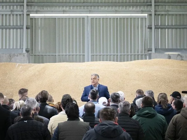 Hungary's Agrarian Growth: A Quiet Revolution Beneath the Political Noise
