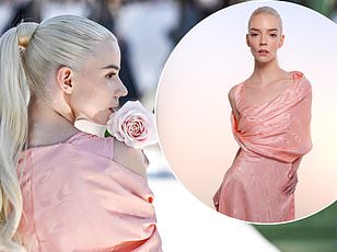 Bella Hadid's Schiaparelli gown echoes Jane Birkin's iconic 1969 Cannes look.