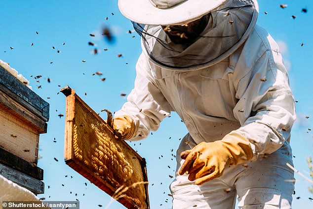 Experts warn one common mistake cancels out honey's health benefits.