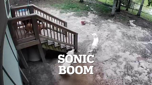 USGS confirms sonic boom hit East Coast homes near SpaceX launch.